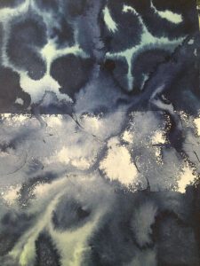 Un dauphin entre deux eaux